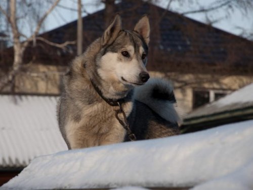 настороже