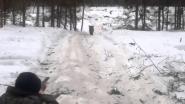 Охота на кабана