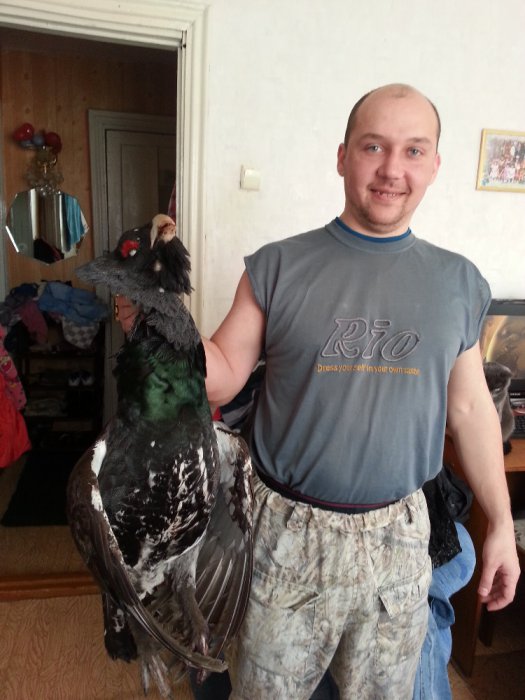 Взял петьку недавно