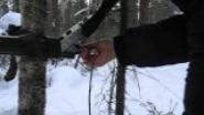 Проверка ТОЗ-34