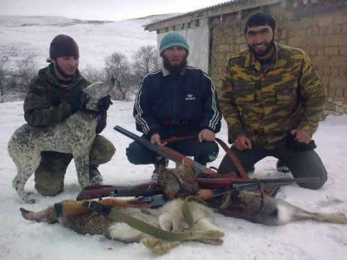 на жаркое
