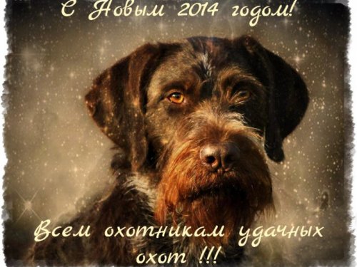 Всех любителей охоты с собаками С Новым годом!!!