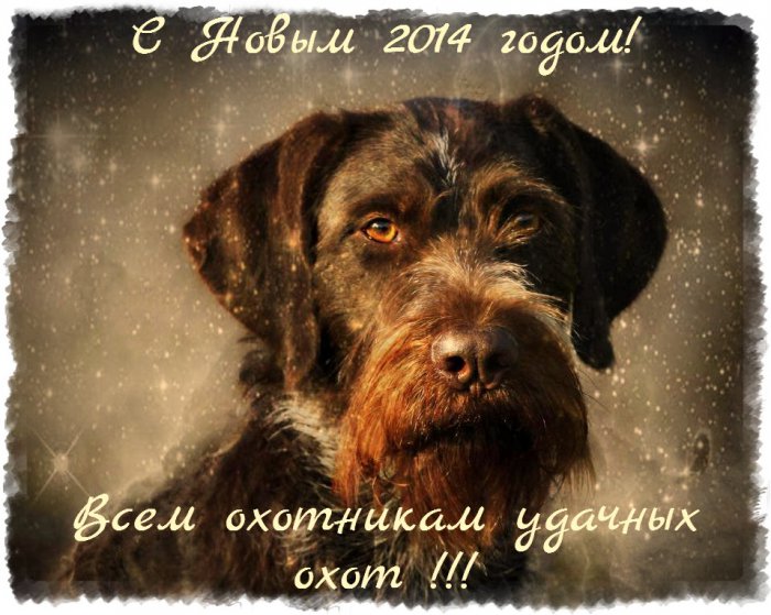 Всех любителей охоты с собаками С Новым годом!!!