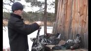 Осенние будни промысла