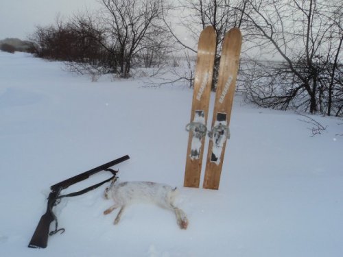 Трудовой зая.