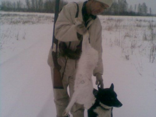 с лайкой
