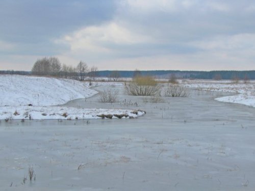 Старица. Замороженный паводок