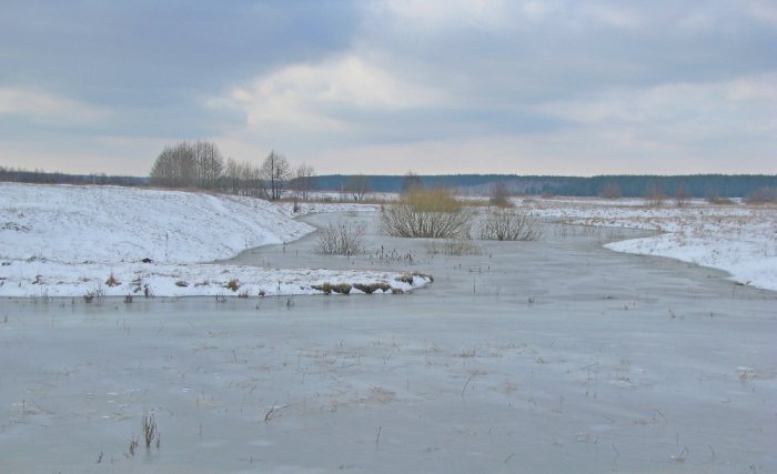 Старица. Замороженный паводок