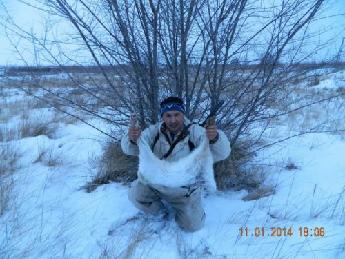 Опять повезло - второго взял сегодня.