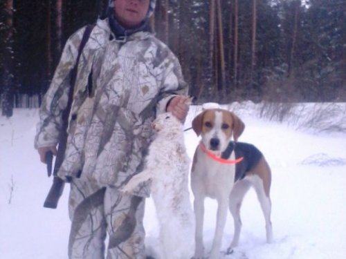 Рождественский заяц
