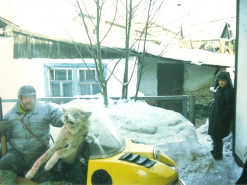 Попался