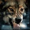 О добыче волков