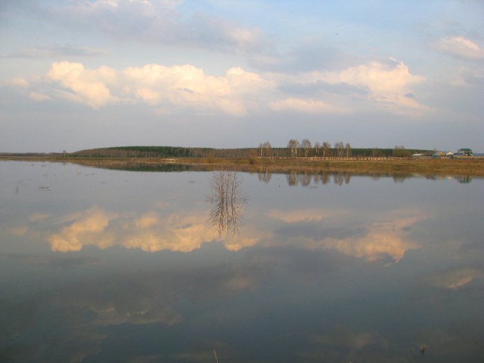 Двойная жизнь