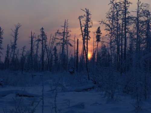 Морозное утро