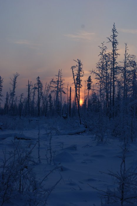 Морозное утро