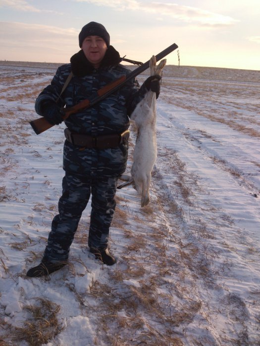Добыт зайчишка!