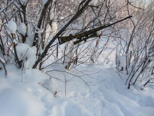 Куропэ.