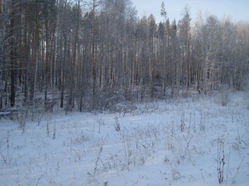 Зима