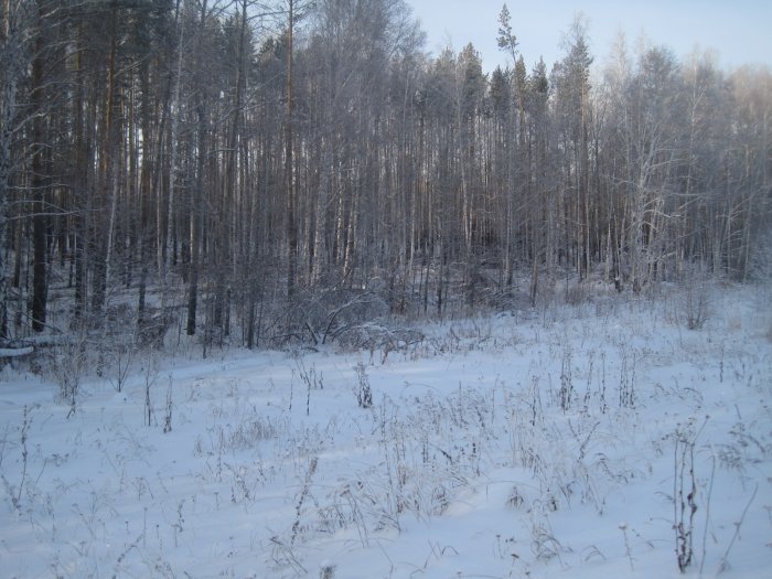 Зима