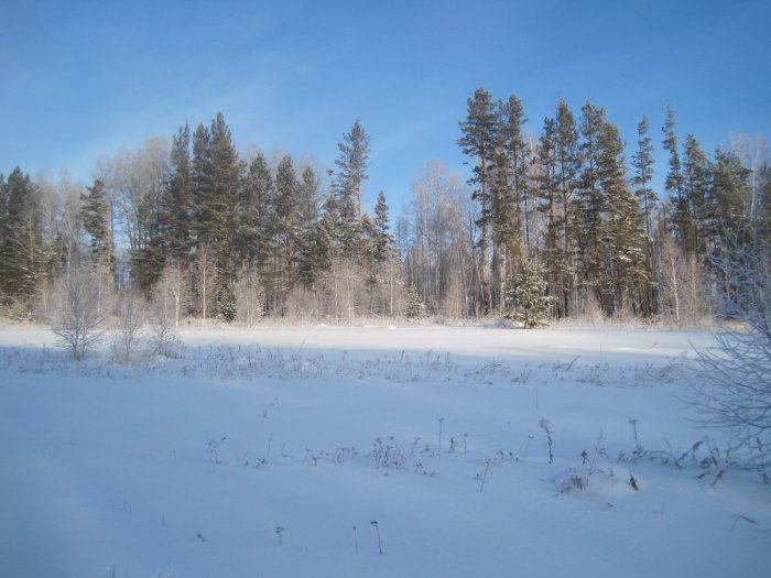 Рассвет