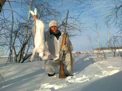 Охота на зайца. 8.01.2014