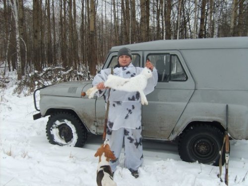 Зая
