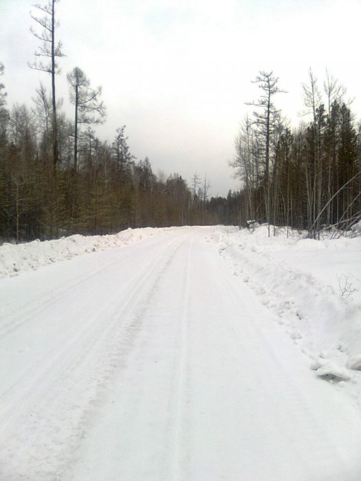 Дорога в даль...