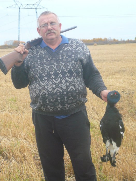 осенний тетерев