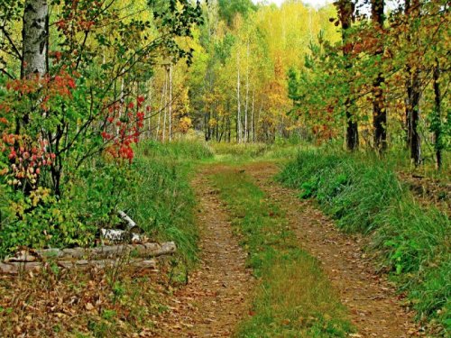 Осень в центральной полосе