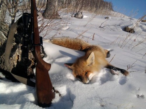 Натюрморт