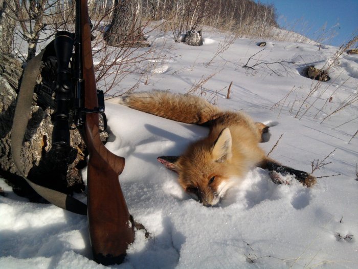 Натюрморт