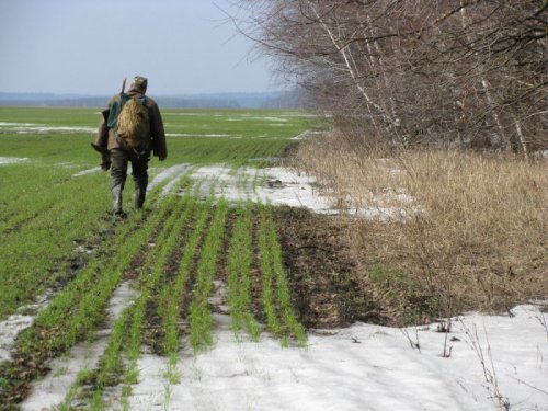 Охотничий зов. За гусем.