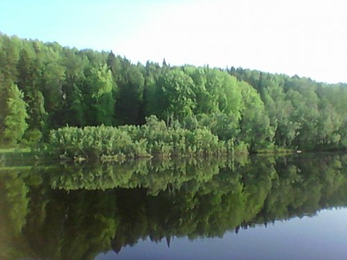 васюган