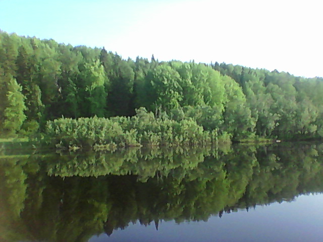 васюган
