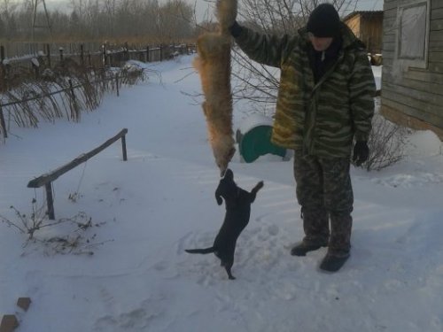 Выгнала с норы