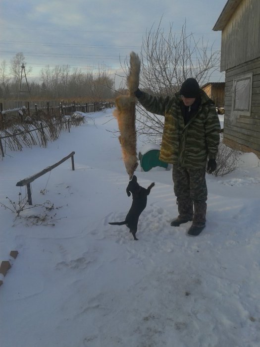 Выгнала с норы