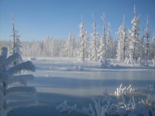 Мороз