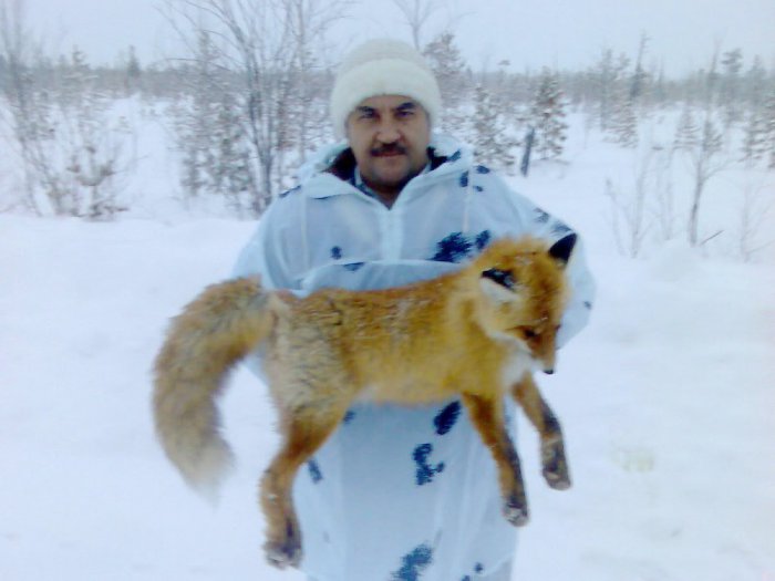 Лис