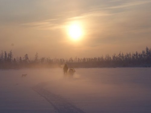 Охота пуще неволи. - 50 по Цельсию.