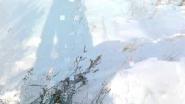Охота на зайца. 8.01.14