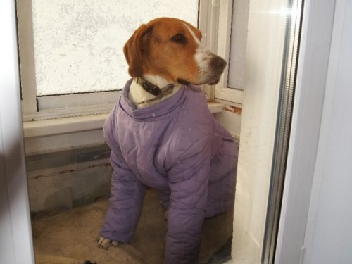 Смотрит на термометр