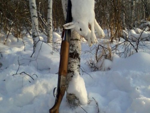 добыл таки белого!