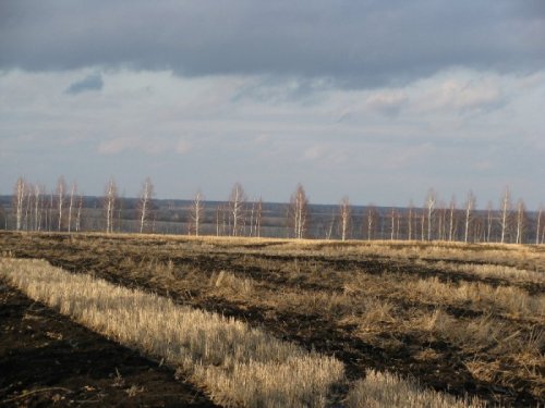 Охотничий зов. Чернотроп.