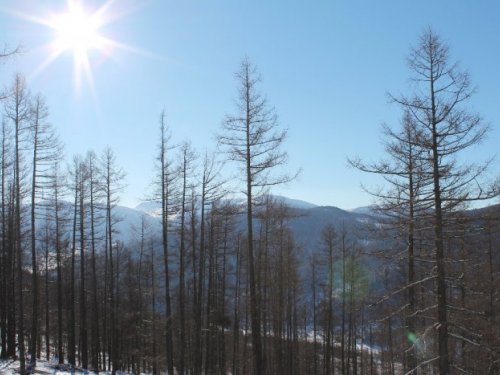 Все чисто и прозрачно