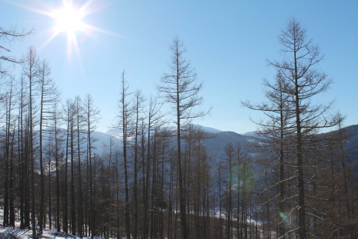 Все чисто и прозрачно