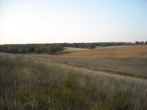 оренбургская область