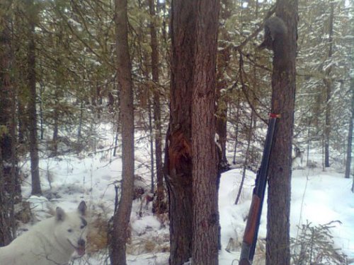 самое главное это начало