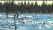 Охота на северного оленя зимой