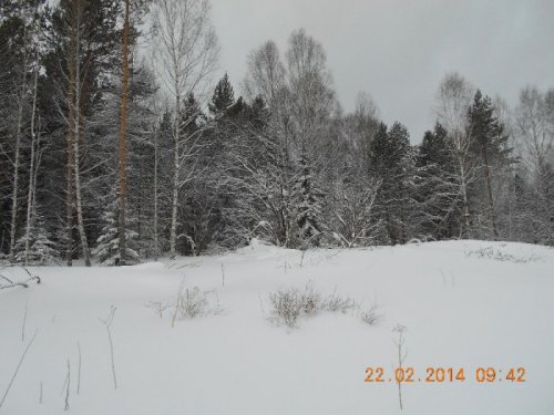 г.Касказым,Зимний пейзаж