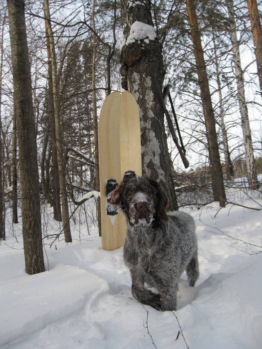 Рич